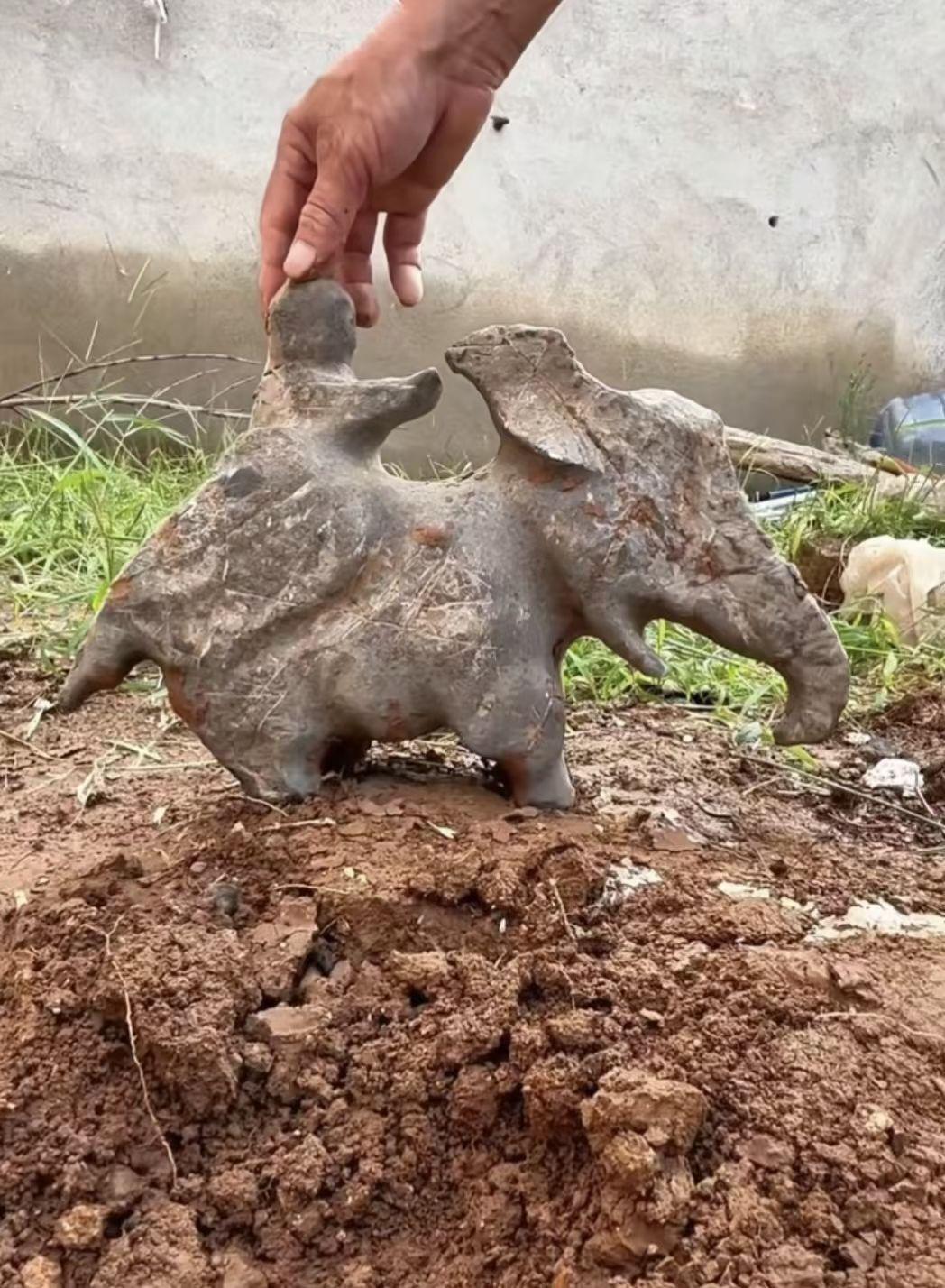 当年，中国对留学生严格要求高，而且以军事类院校居多后来，这些亚非拉留学生回去后