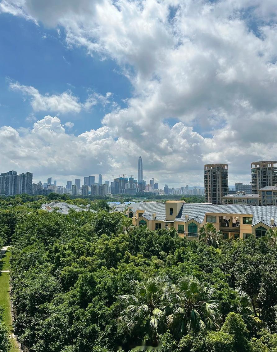 深圳福田今年成交很不错的楼盘，虽然20年楼龄了，但是低密度，绿化好，住的舒服。