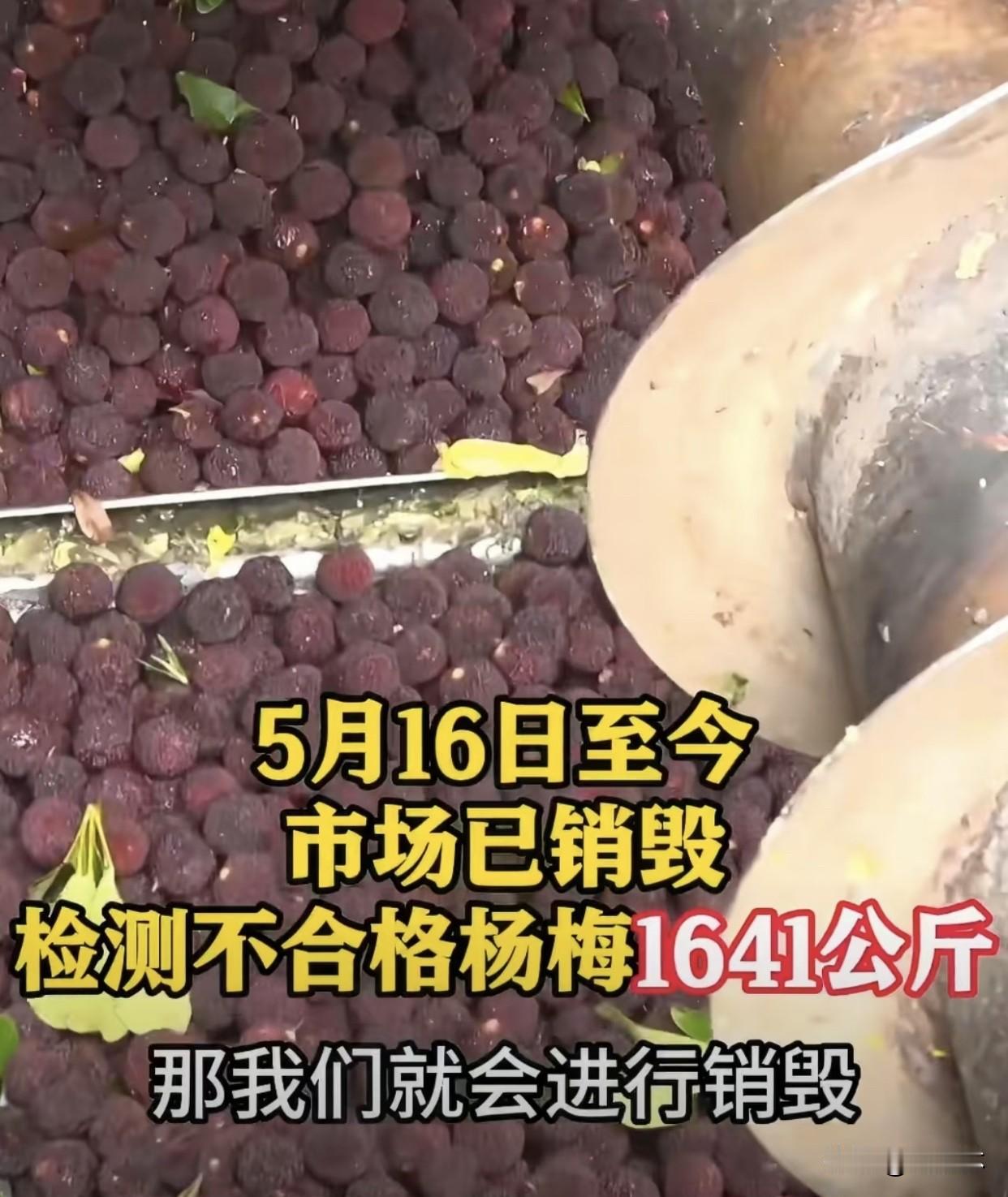 如何看待上海销毁不合格杨梅1641公斤上海集中销毁一千六百多公斤问题杨梅，做得真