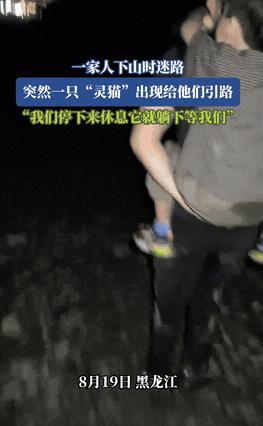 “科学无法解释！”黑龙江，一家子深夜去爬山，结果下山时迷了路，正当所有人崩溃时，