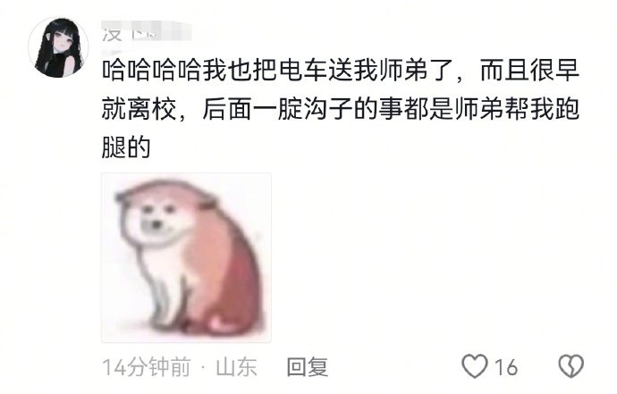 都是师弟帮我跑腿的