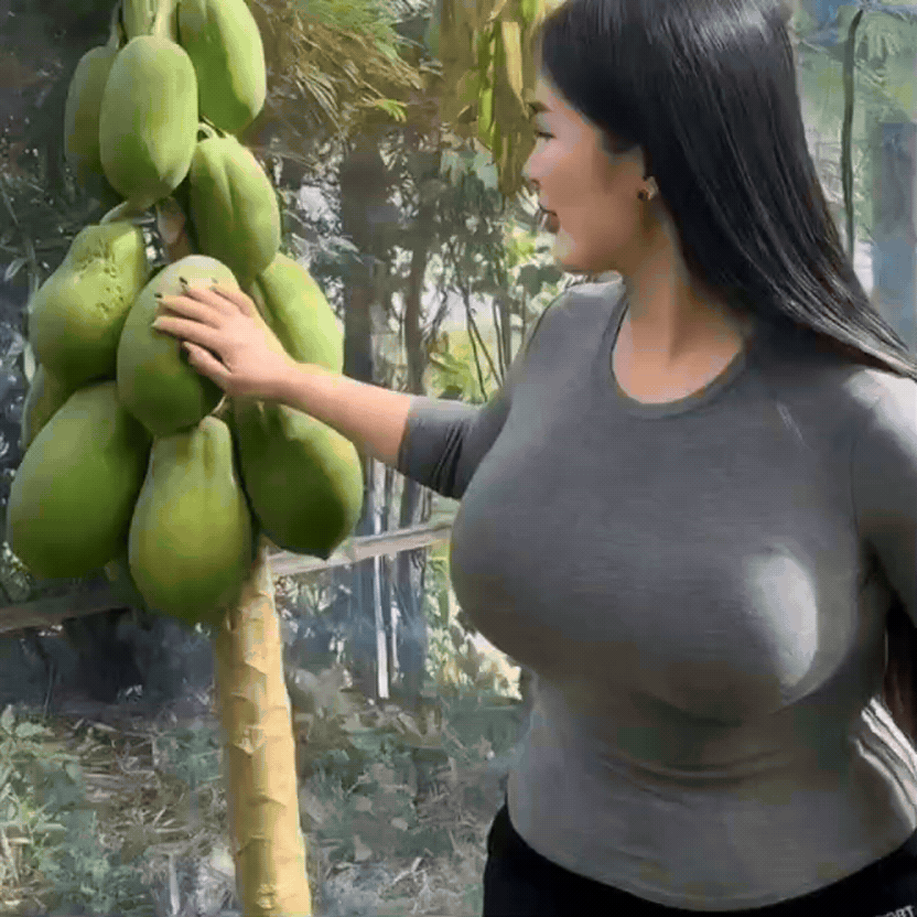 谁能懂！这挂满树枝的木瓜没有吸引力，而是她的身形比木瓜更有画面感。青木瓜