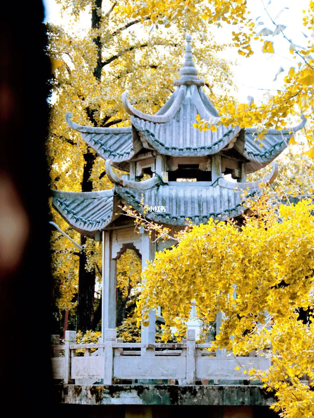 长兴八都岕两天一夜赏秋攻略！手把手教你玩