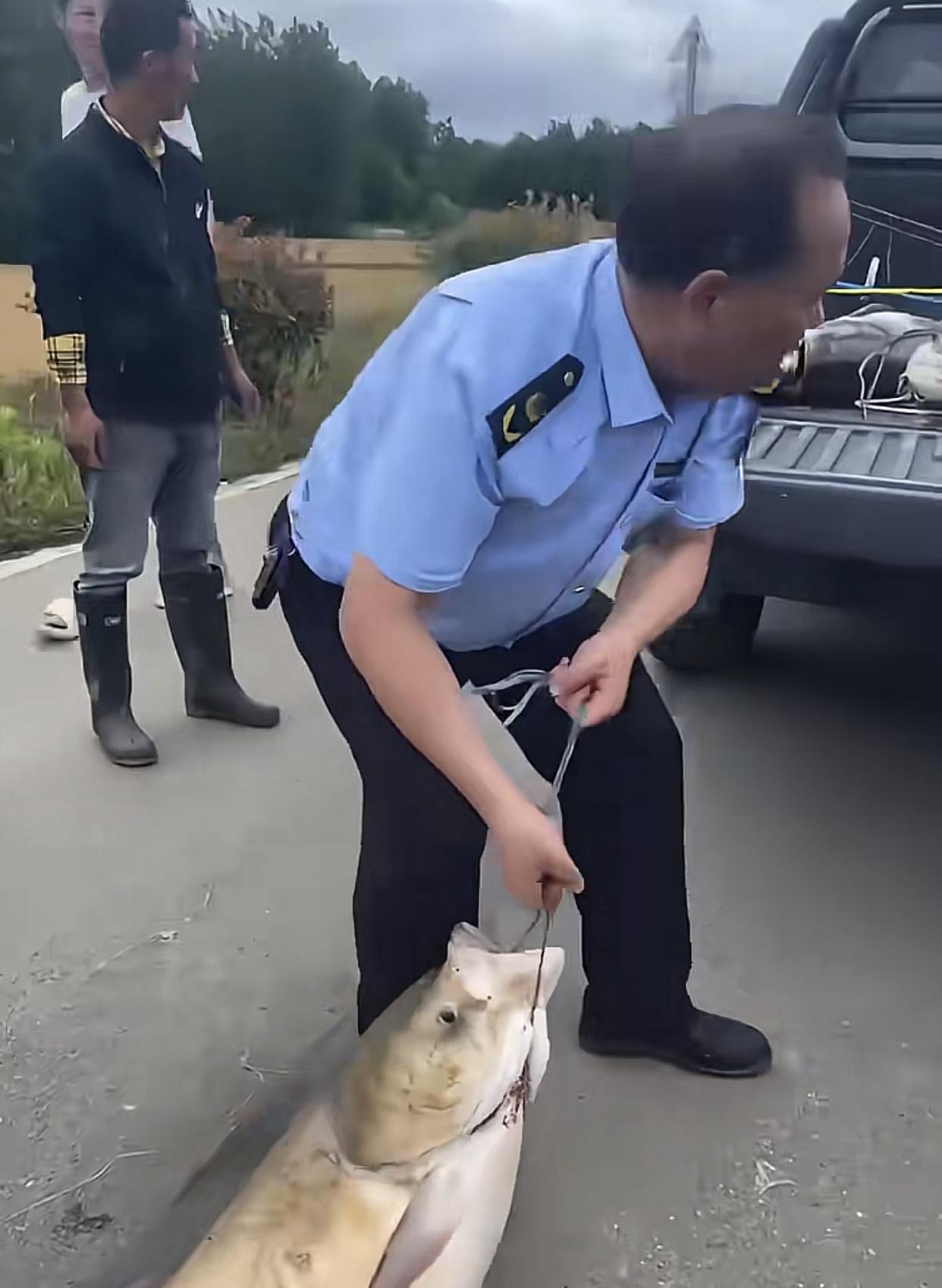 钓到几条大鱼，还没挂在车尾上街绕城炫酷，就被没收了！安徽六安，几名钓友连夜蹲