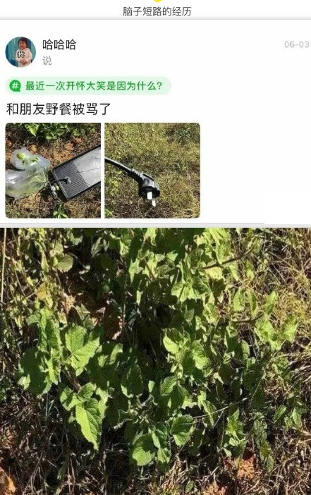 脑子短路的经历