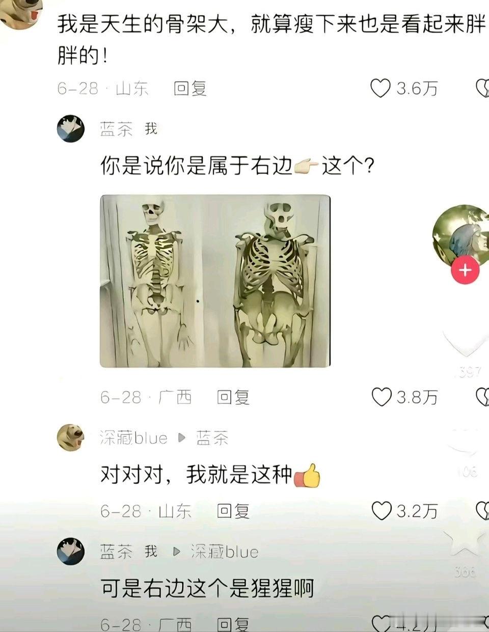 每次都忍不住笑哈哈哈，以后不要再说自己骨架大了​​​