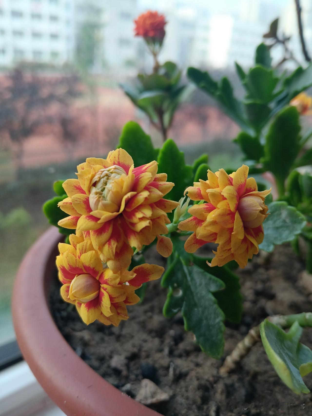 1、再想，不碰野花。2、再穷，不碰法律。3、再忙，不忘记家人。4、再久，不