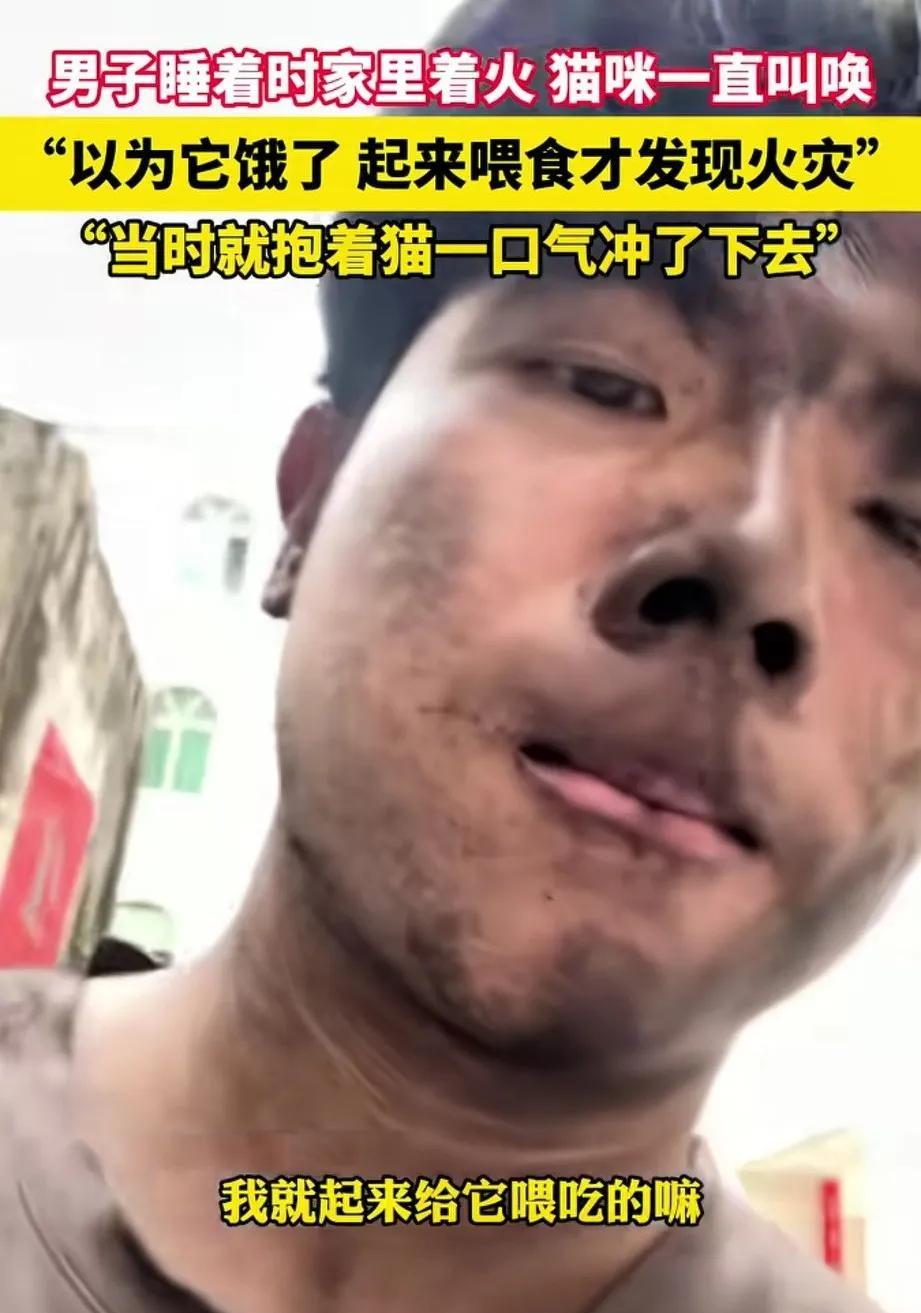 男子睡觉时，猫咪一直站在枕头边叫，他以为猫咪饿了，迷迷糊糊起来给猫咪倒猫粮，这时