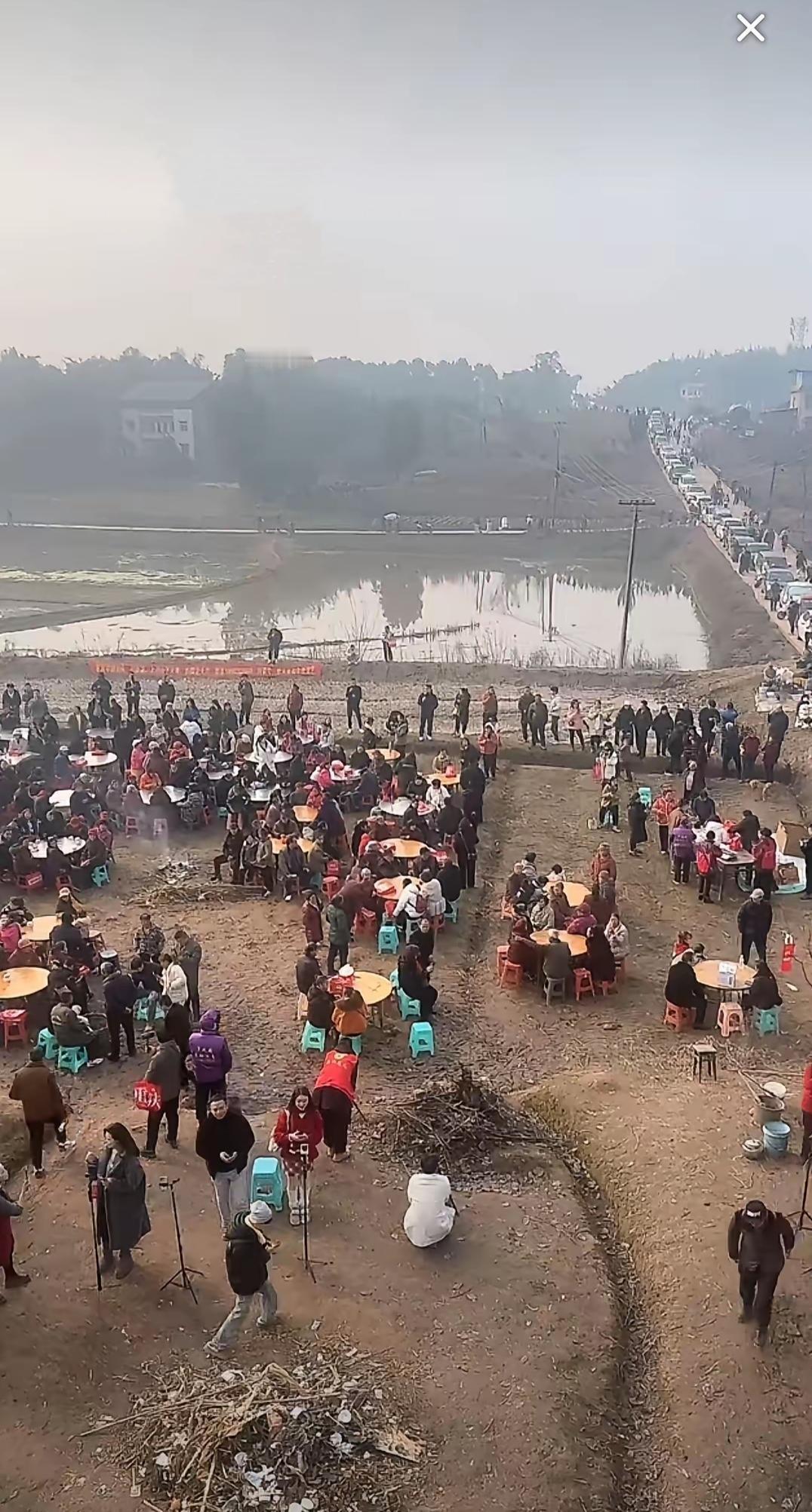 父亲一辈子没直起的腰，被呆呆一句“过来摁猪”给办到了，这下全村都知道她家