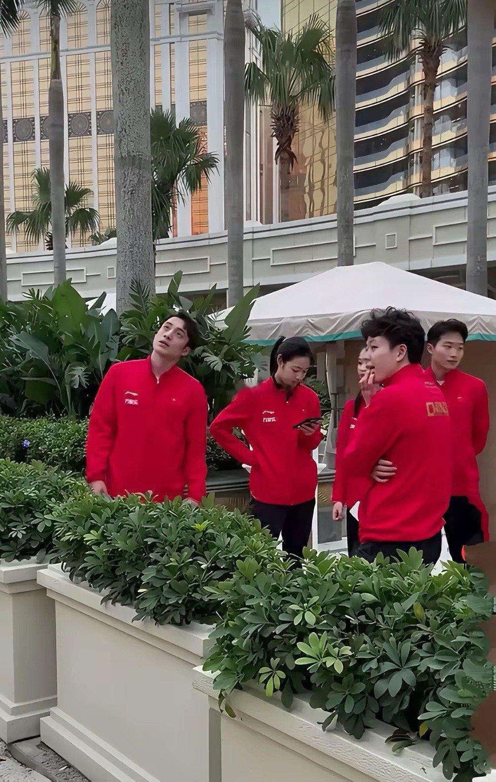 澳门跳水秀，没了全红婵，现场像开班会。陈芋汐带队，技术在线，可观众席安静得能听