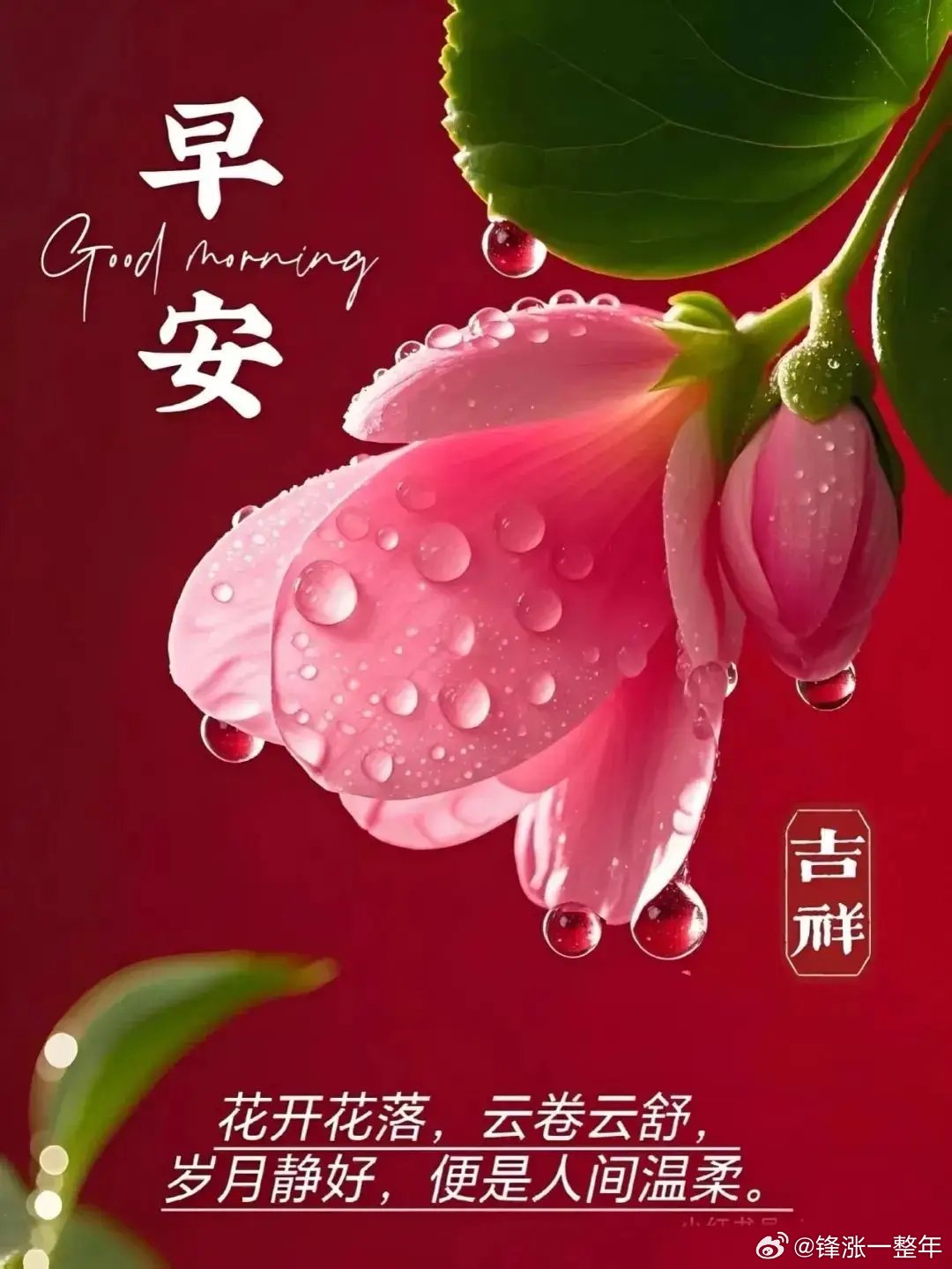 早安周末愉快​​​
