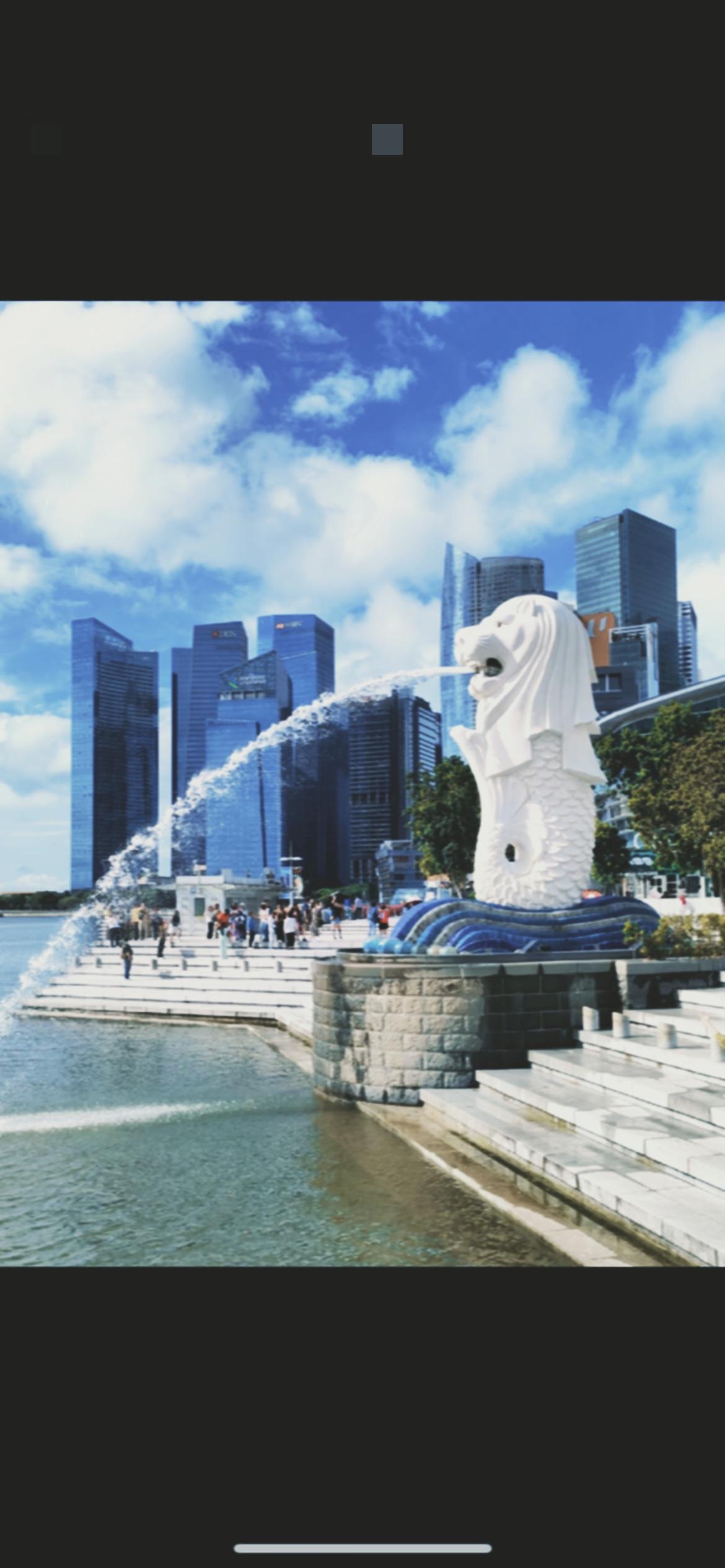 马六甲变天！新加坡晒4112万标箱成绩单，实则慌得一批！别被表面数据骗了