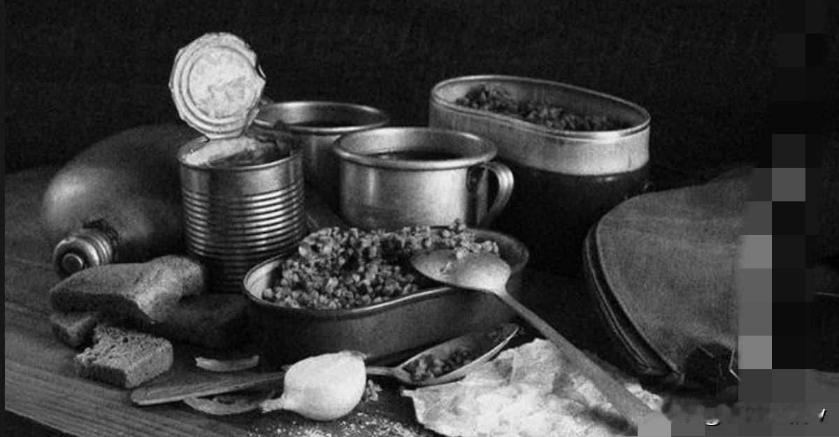 在第二次世界大战之前，苏联食品业已经在为即将爆发的战争储备肉罐头，但不巧的是，那