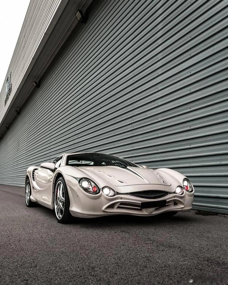 懂的人自然懂🤫光冈大蛇，日本第十家认证车厂出品的魔幻现实主义超跑。仿生蛇脸