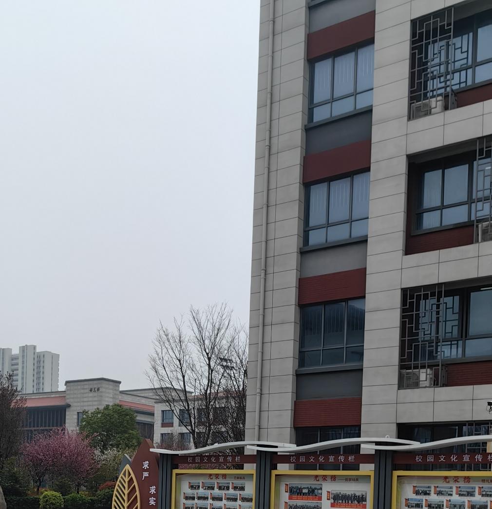 杨议和杨进明有很多经典的相声段子，艺术水平有三四层楼那么高。那他后来为什么不说相