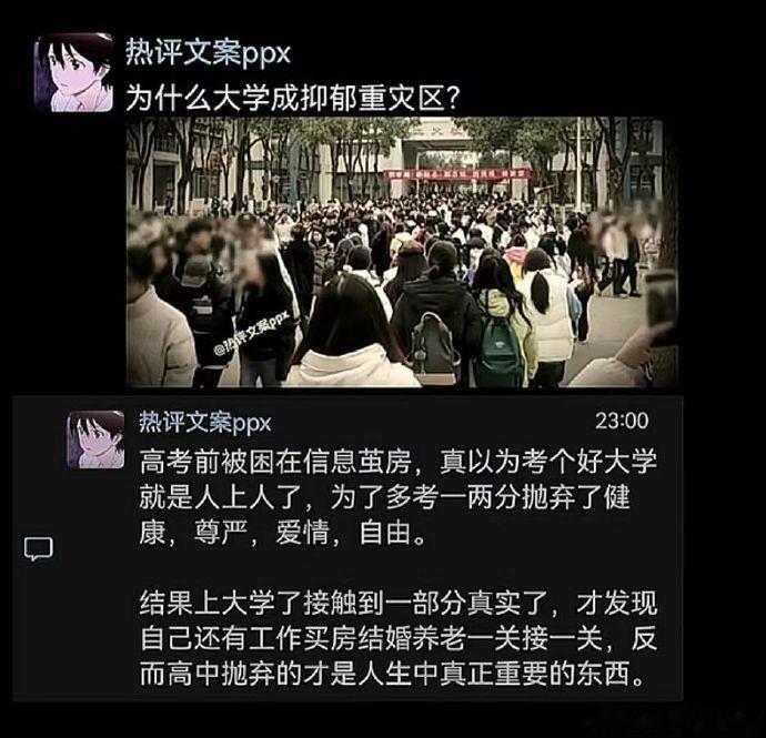 以为考个好大学就是人上人了​​​