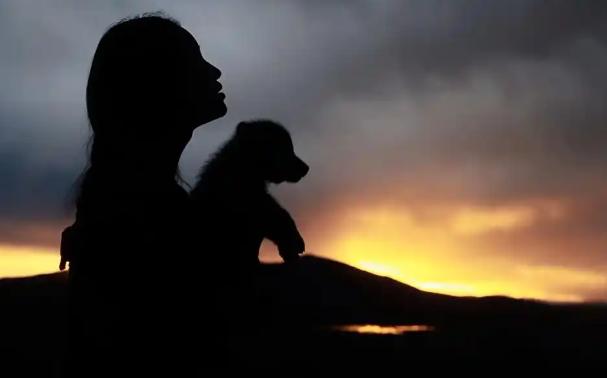 狼王格林大概率已不在世，但存在不同说法，尚无官方证实的死亡记录。 2020年