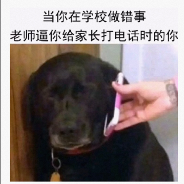 有画面感了，哈哈