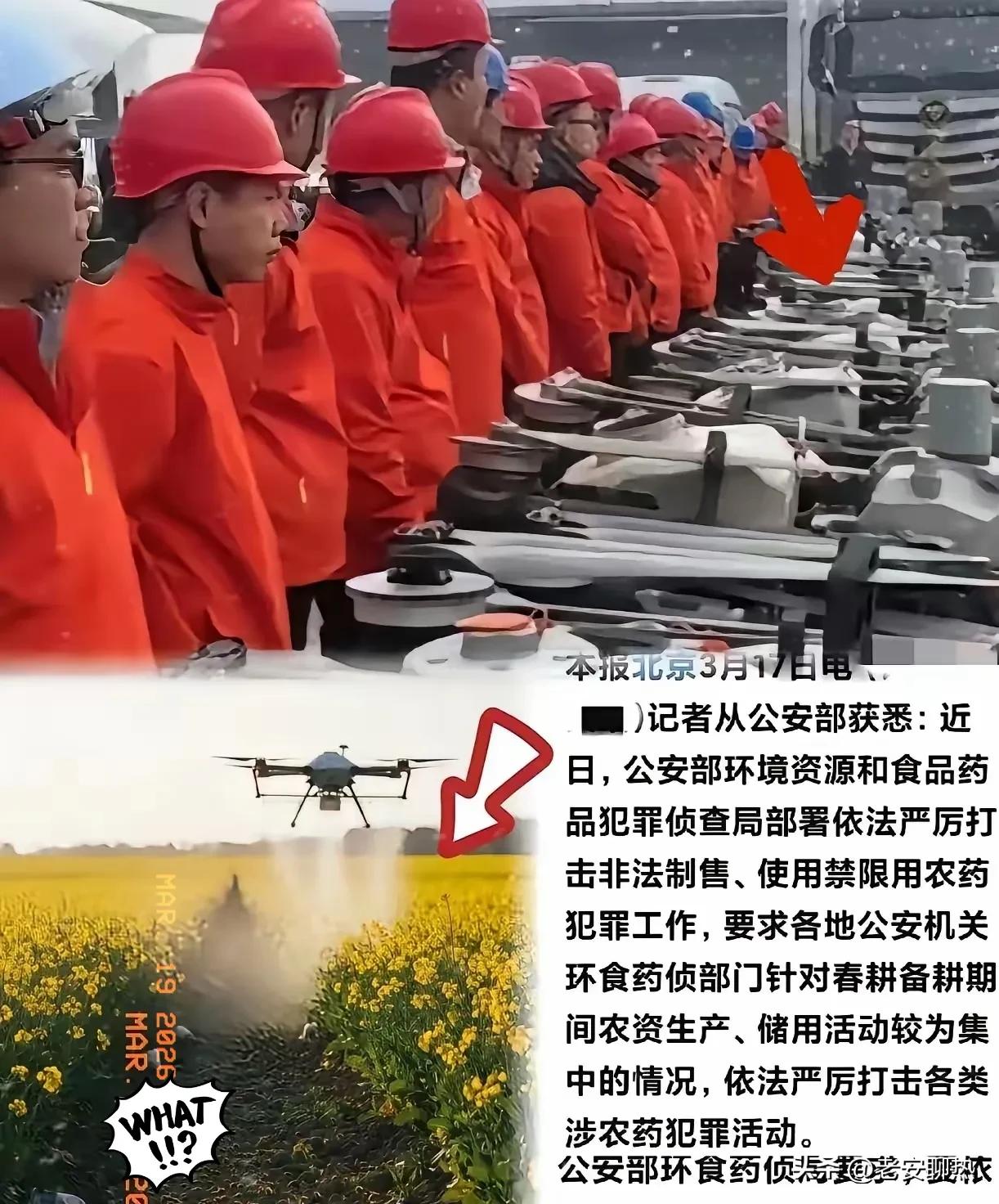 这次严查真是大快人心！有些人穿着红工服，操控无人机，专挑油菜花盛开的时候乱喷农药