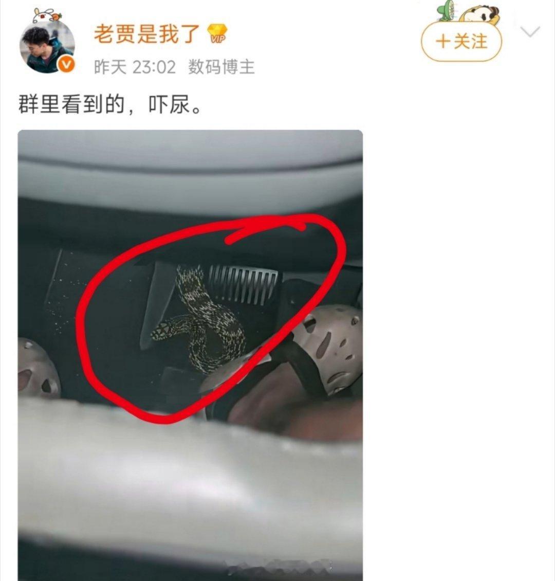 开车路上碰到这情况，该咋处理？​​​