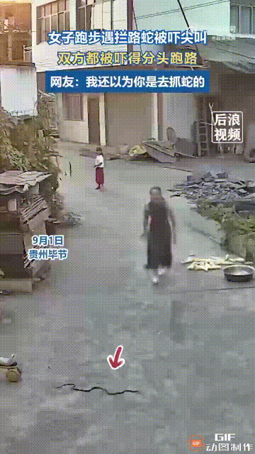 贵州毕节一名女子走在路上时，非常开心地往家里跑，但却没注意路上蜷缩着一条蛇，导致