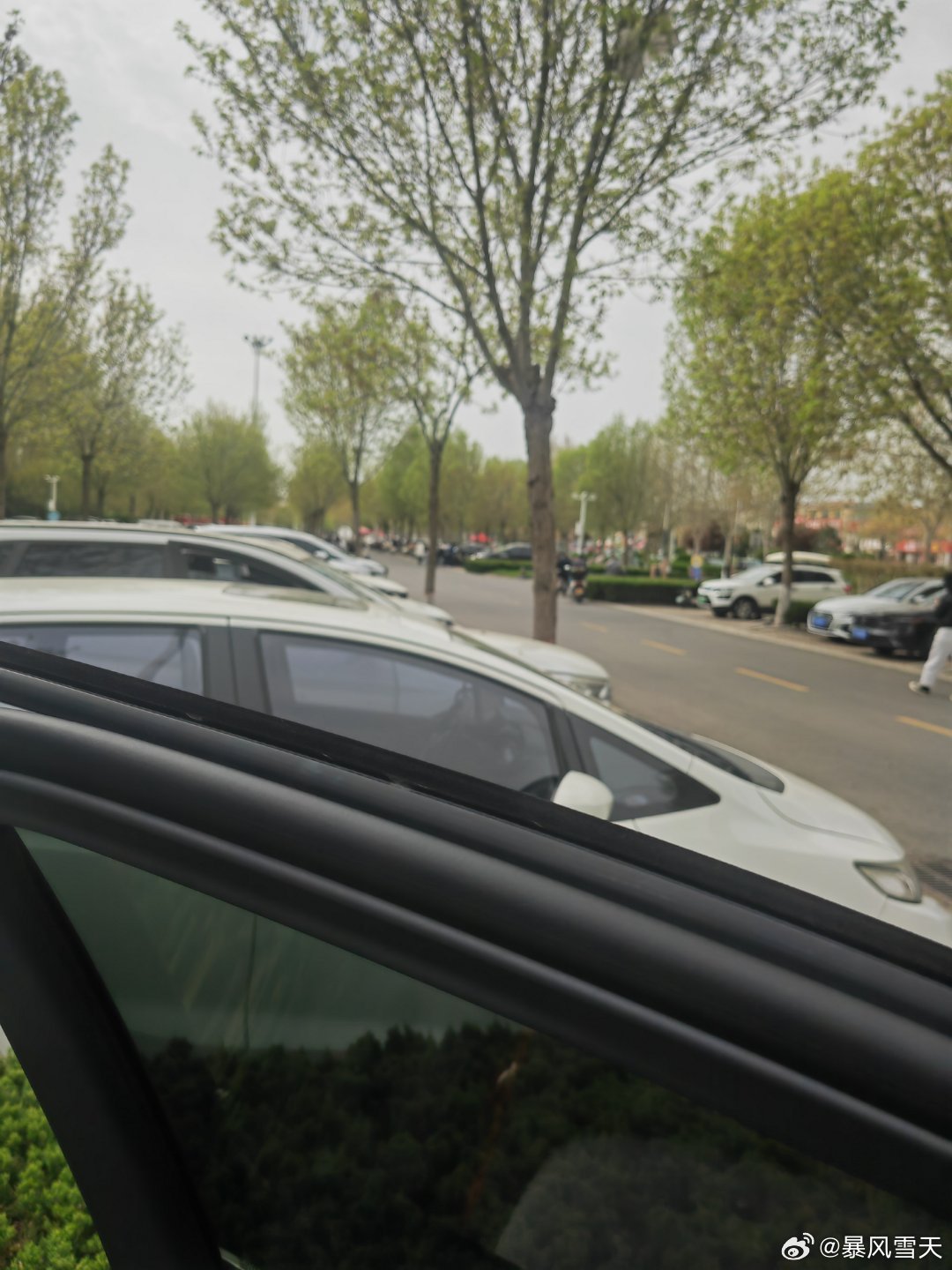 我在停车场发呆呢！