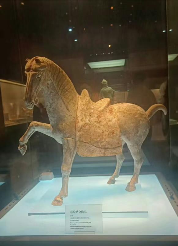 洛阳博物馆陶马摔倒原因查明！南京博物院原来这一匹唐代彩绘贴金陶马本来就是出土后