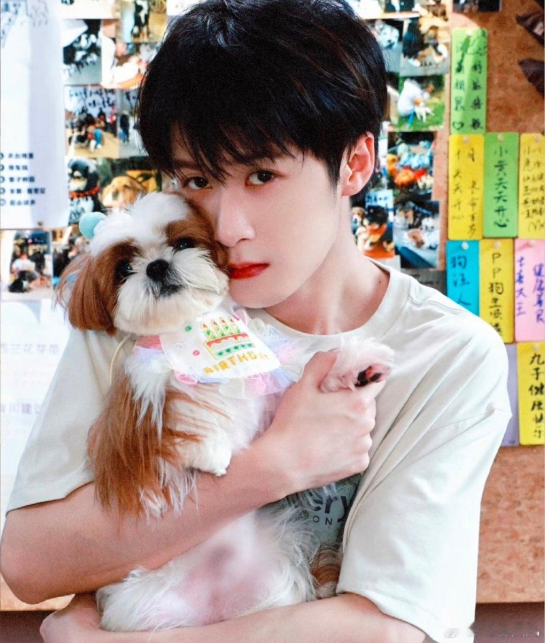 六部即将播出的现代偶像剧，期待值拉满全员高颜值恋爱，你最期待哪部呢？第一部《折月