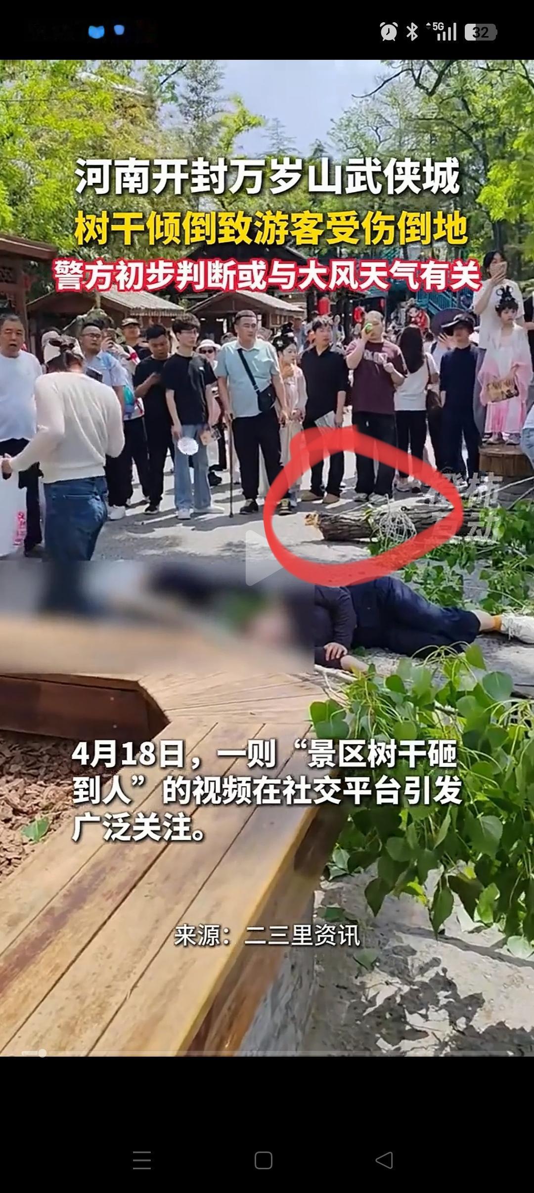 开封万岁山这事，看得我心里咯噔了一下！没想到，这么大一根树干也能掉下来，还直