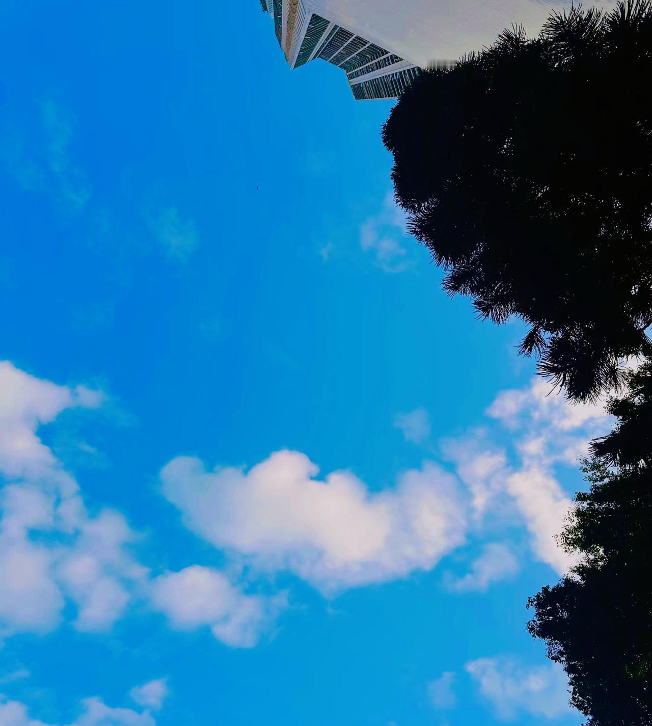 ：）互联网没人告诉过你，你吃软饭是一件很难的事情，尤其是中年男人吃软饭。成熟是