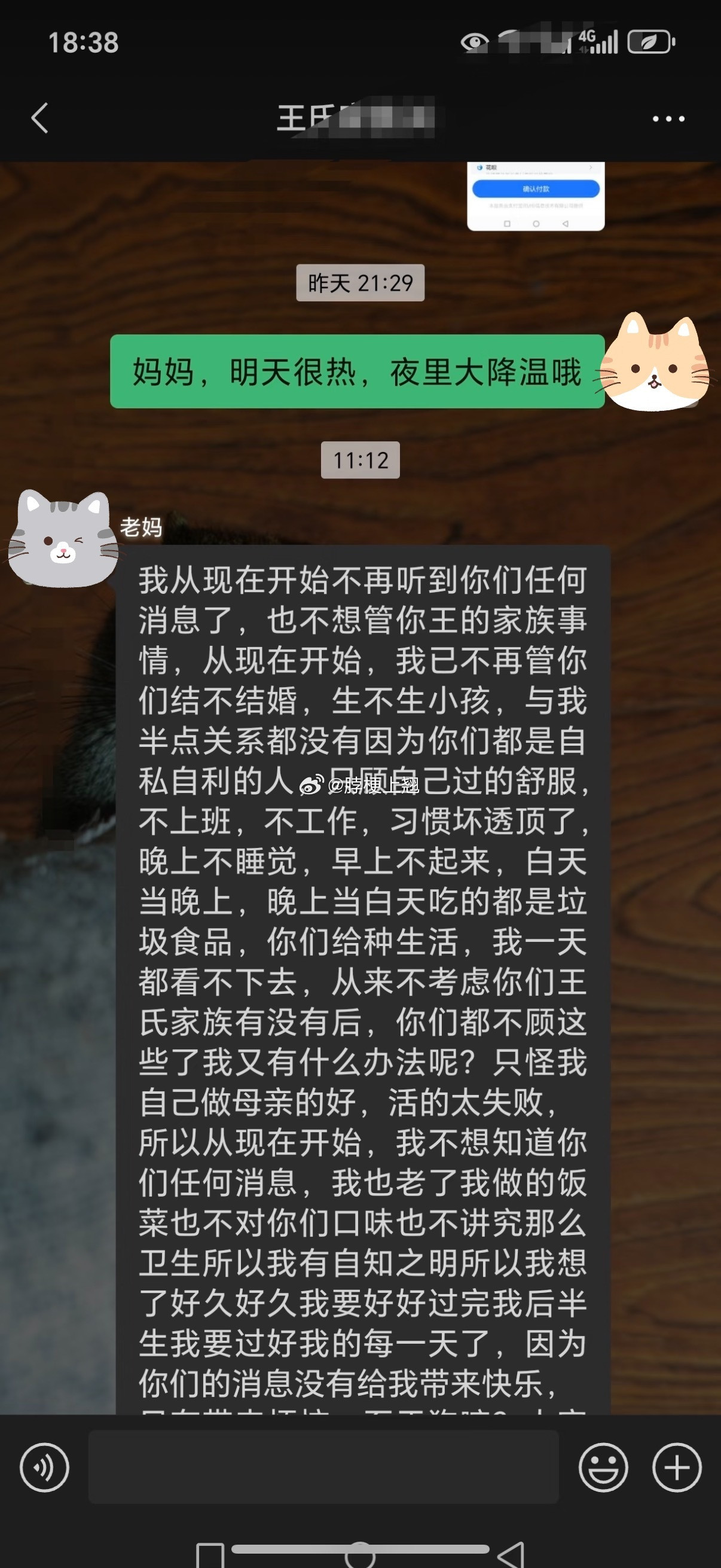 和老妈说了不想结婚生子，她把我拉黑了
