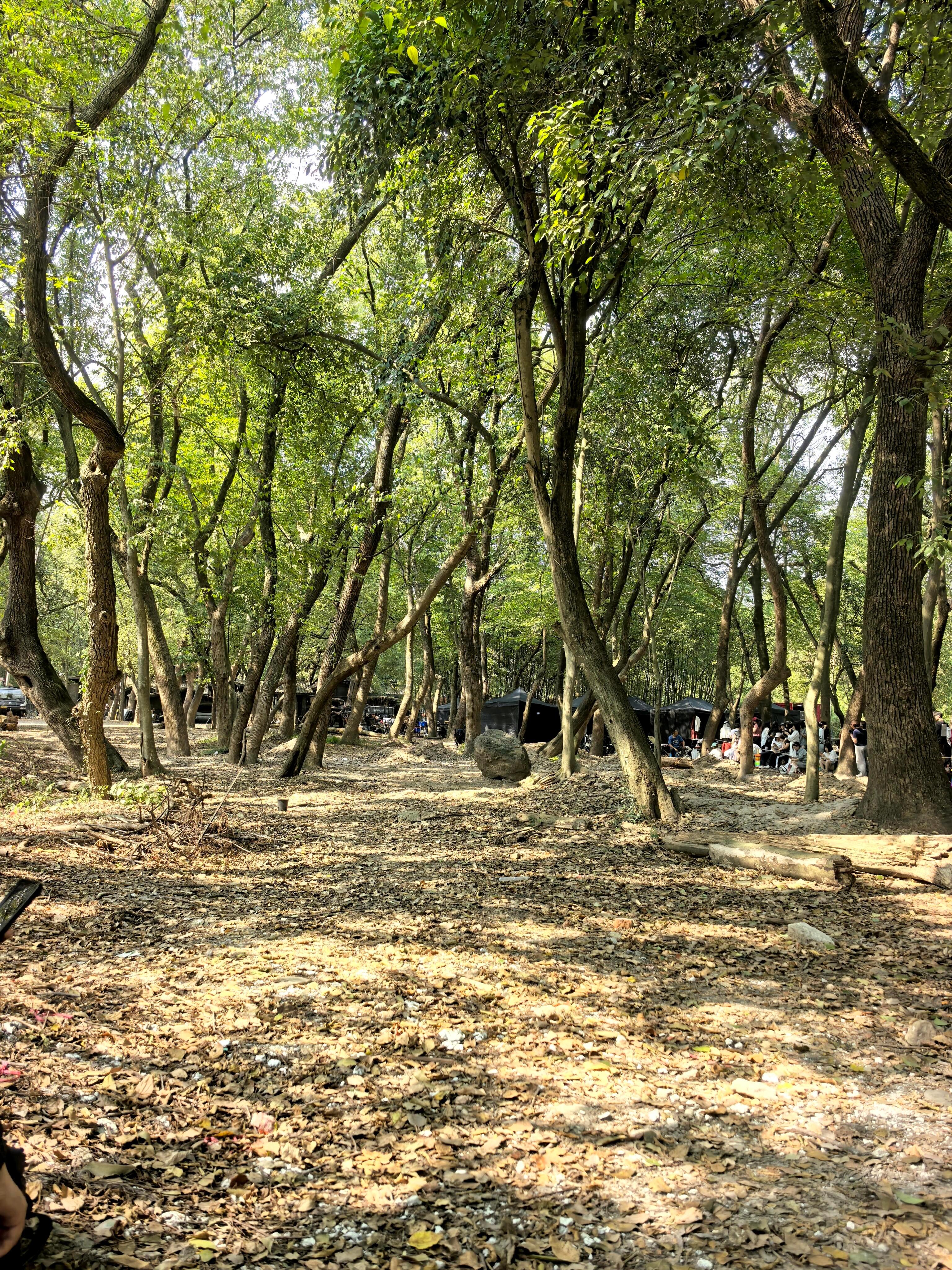 任嘉伦《锦衣搜金录》明天开机仪式今天粉丝就排满了长队哥好火啊[吐舌头眯眼睛笑]​​​