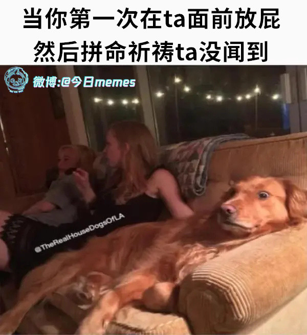 谁家酿酱（9gag）今日meme今日memes