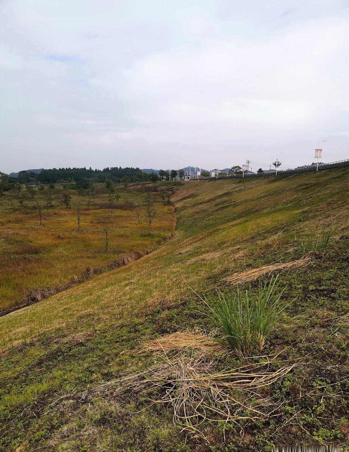 搞不明白有些人，存款几十万，每个月工资也有一万多，每天还焦虑不安，每晚都睡不好。