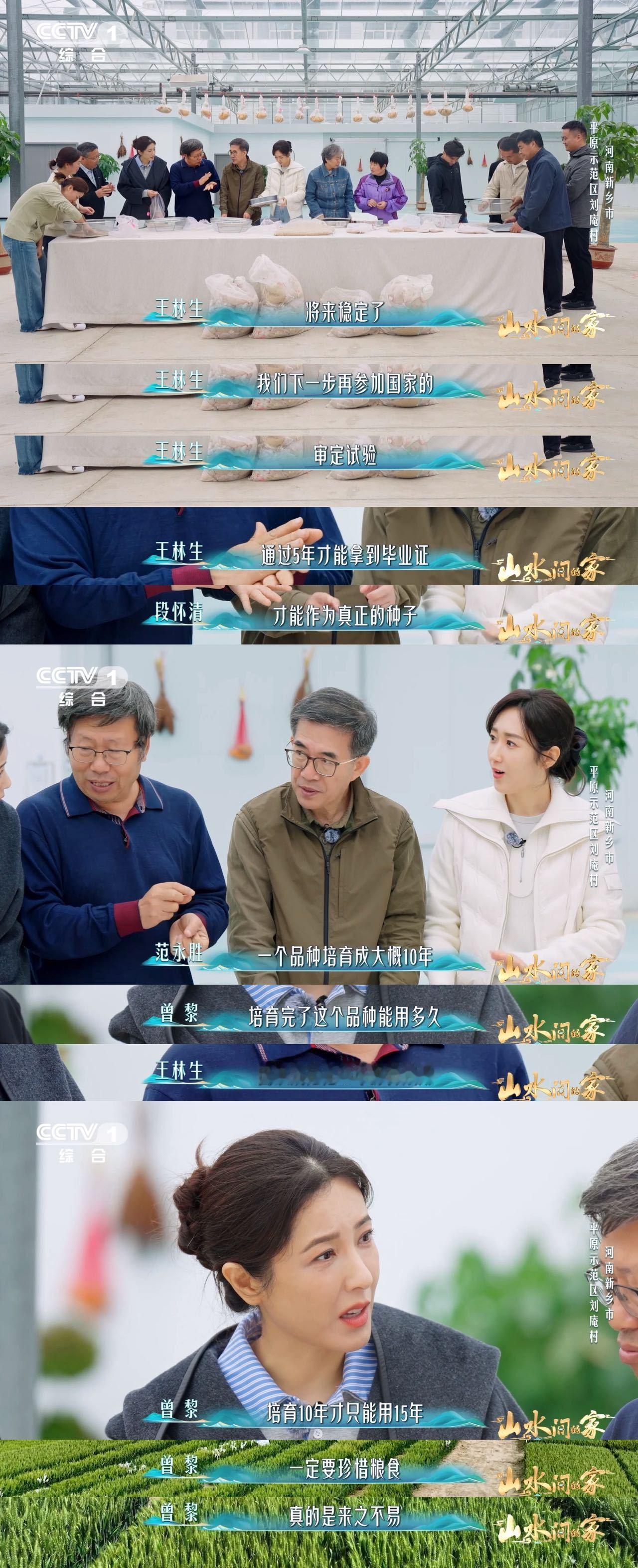 每4个馒头就有1个来自河南中国科学家花10年培育1粒小麦种子一粒麦种凝十载心血