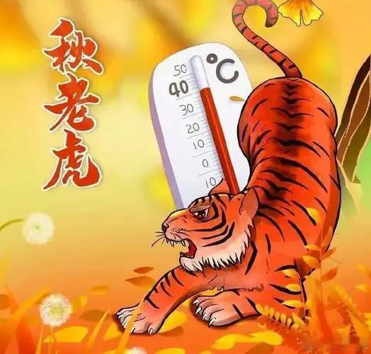 今年还要热多久？8月份秋老虎猛不猛？答案来了 今年的夏天，真的是热出了新高度
