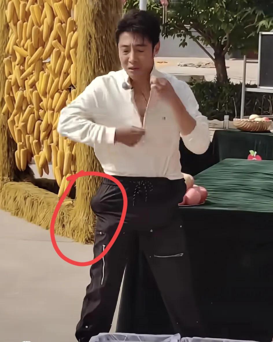 果然，人红是有道理的。看撒贝宁就知道了，不是他才智过人，也不是他的情商有多高