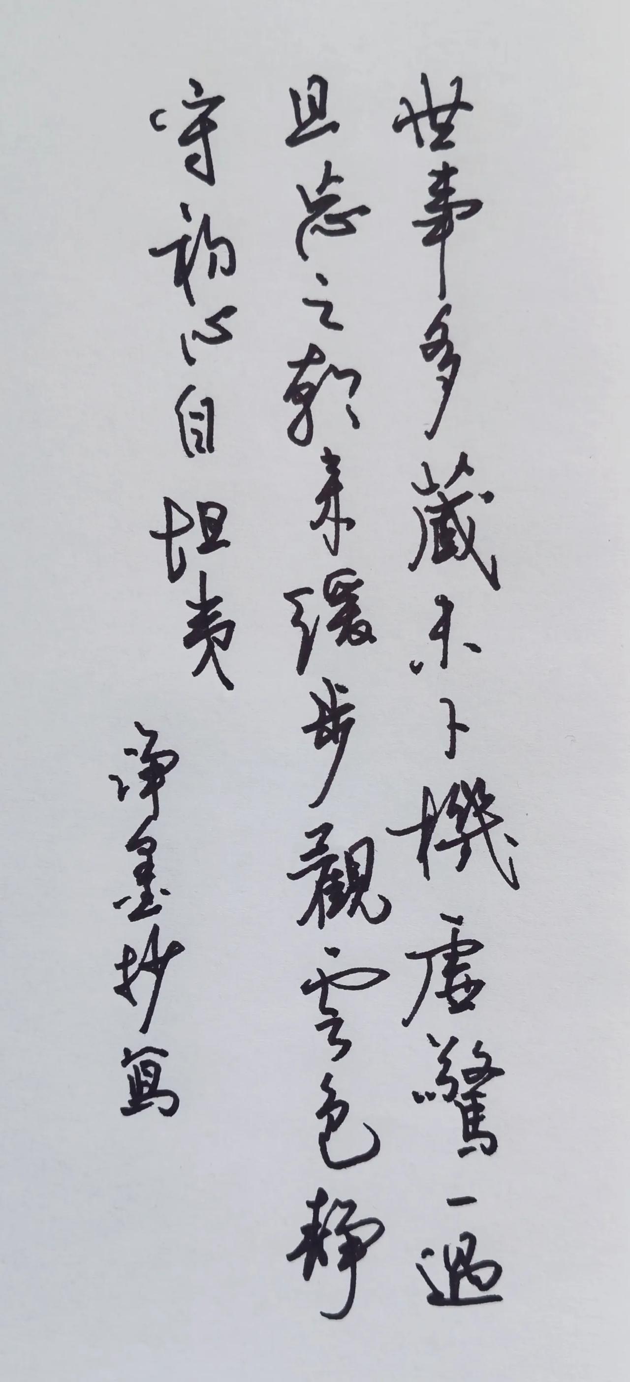 偶遇虚惊，提笔自宽，守一份内心从容。行草流畅洒脱，连带自然，整体气息宁静，和
