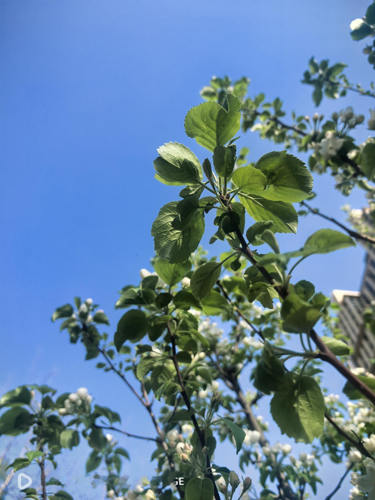 曾经很香的师范院校和师范类专业，随着时代的变迁和人口出生率的下降，师范的热度也在