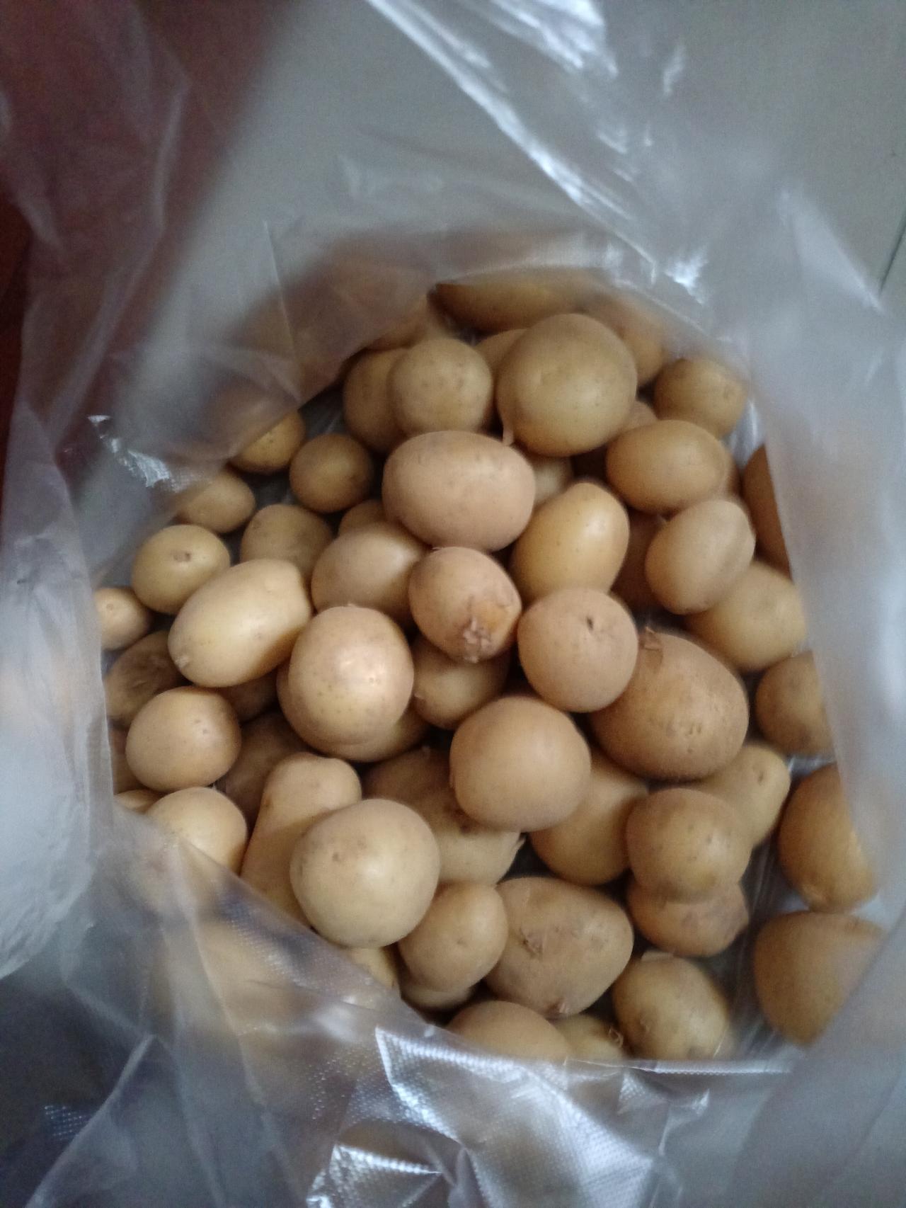 最近一周，和土豆🥔杠上了……红烧土豆、清煮土豆、牛肉土豆汤……