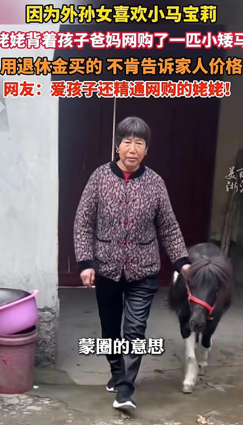 外孙女喜爱“小马宝莉”,姥姥便瞒着家人,网购了一匹身高七十厘米、年仅4岁的矮马。