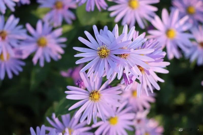 高情商沟通五大黄金法则，搞定90%的人际关系！1.看人说话，投其所好一句