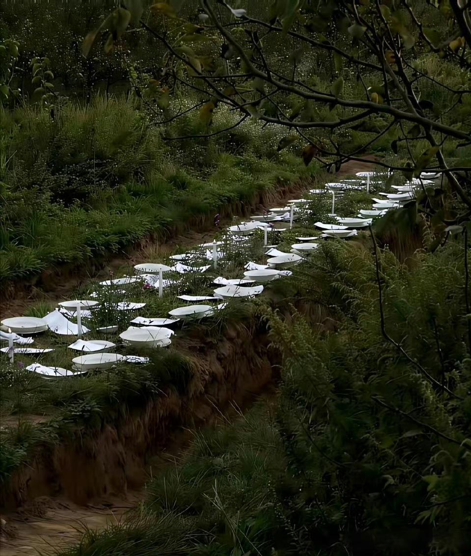 坟头聚餐？人还是不能吃太饱，要不然都不知道该怎么作了！图片中这群人挖一条深坑