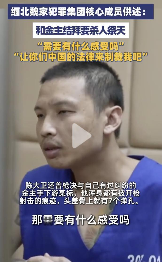 “真是天生恶魔！”缅北魏家接班人陈大卫，掌管着边防营的军事力量，此人生性冷血