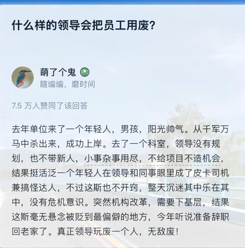 领导没规划，员工被玩废。
