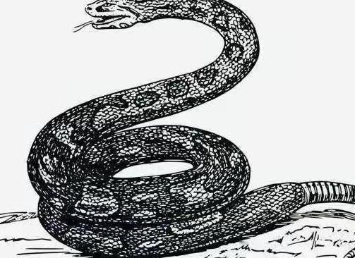 古时，一男子去赴宴途中，见一母蛇难产，当即决定为母蛇接生。可母蛇生下小蛇后，竟然