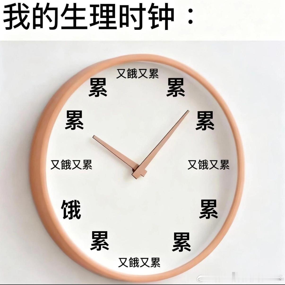 5604我每天都这样