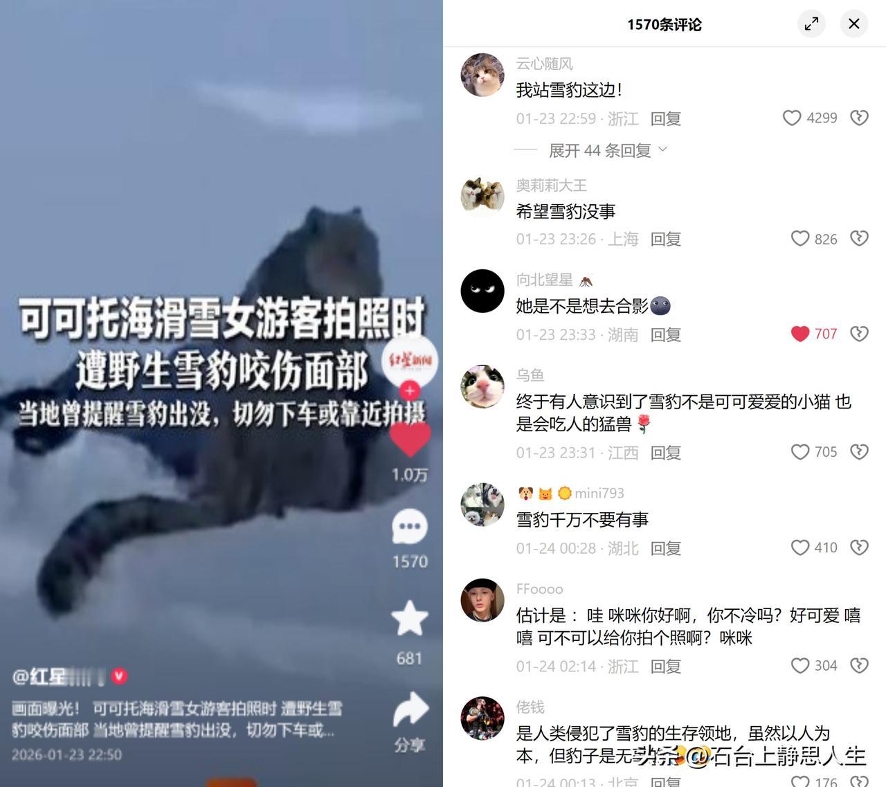 新疆可可托海那起雪豹咬人的事，大家全在喊雪豹没事就好。事情很简单，女游客