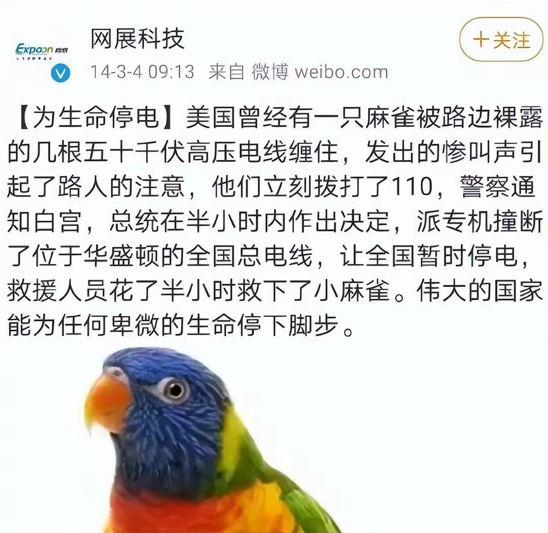 听说，美国人对《牛来》的评价是这样的：“没有好莱坞的上亿美元的投资，没有精美的制
