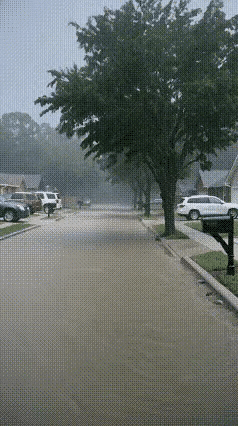 树：我招谁惹谁了？